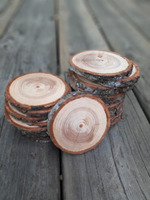 Rustic Wood Round Slices Set of 6 - Branch rounds, Crafting Slices, Round Wood Labels, Live Edge Christmas Ornaments