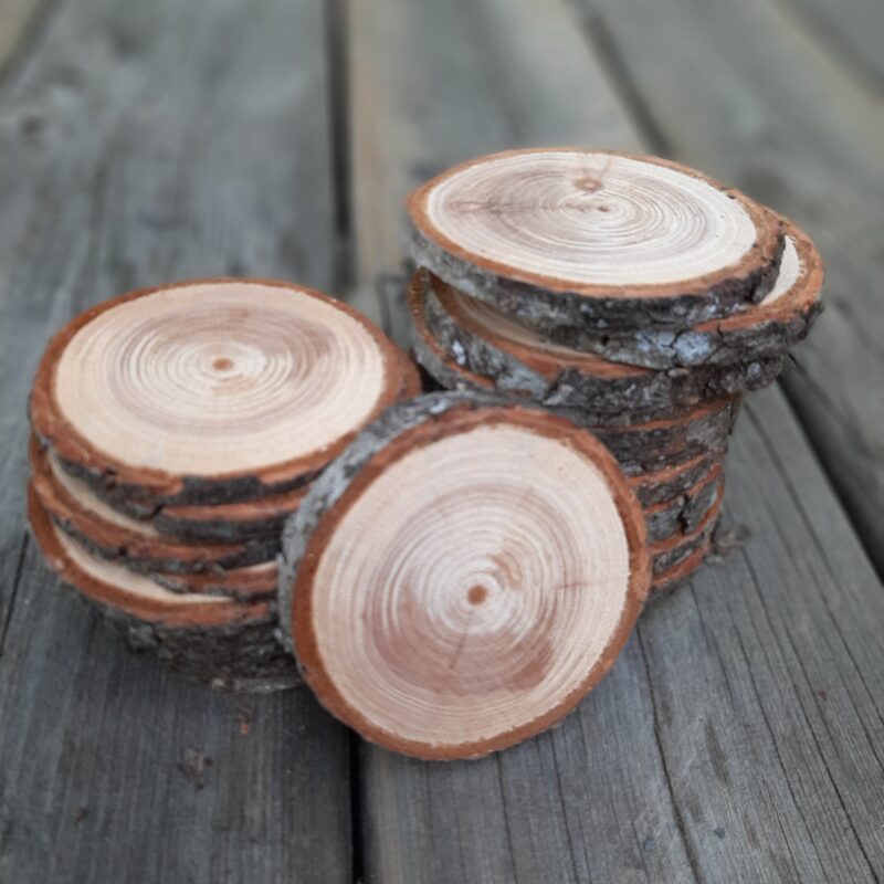 Rustic Wood Round Slices Set of 6 - Branch rounds, Crafting Slices, Round Wood Labels, Live Edge Christmas Ornaments