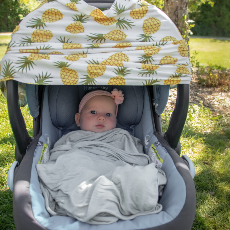 Car Seat and Nursing Cover