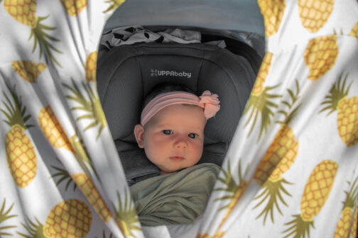 purely pineapple carseat canopy cover breastfeeding scarf swaddle